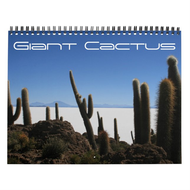 Calendário cacto gigante 2026 (Capa)