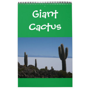 Calendário cactos gigantes