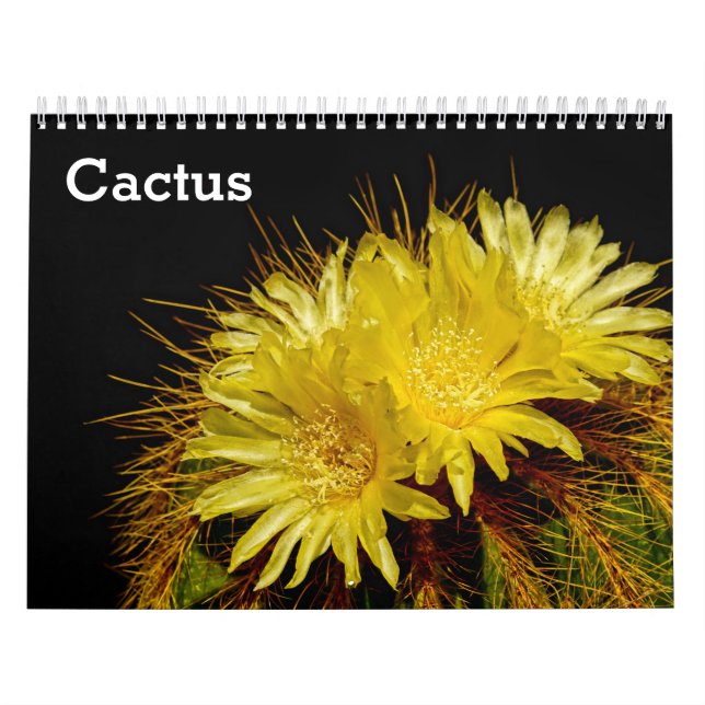 Calendário Cactus 2025 (Capa)
