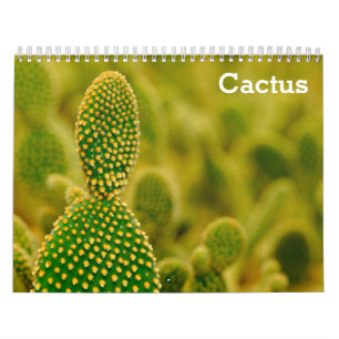 Calendário Cactus 2025