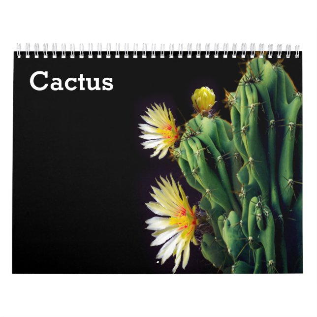 Calendário Cactus 2027 (Capa)