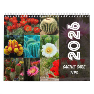 Calendário Cactus Monthly Desert Plant Inspiration