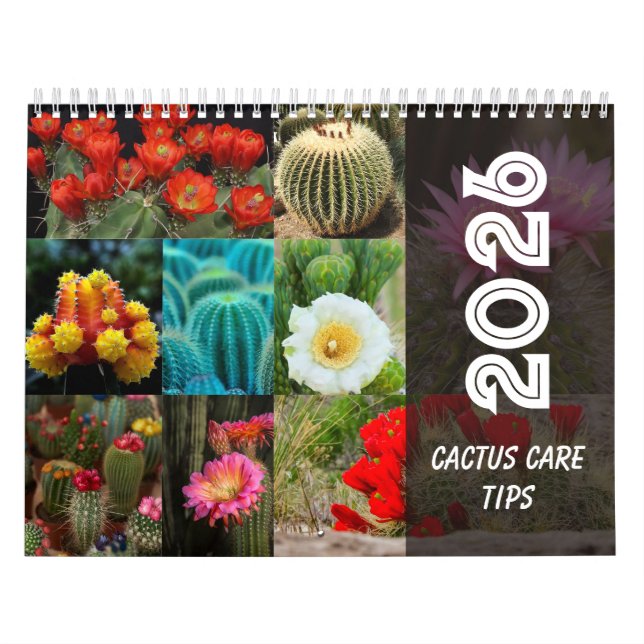 Calendário Cactus  Monthly Desert Plant Inspiration (Capa)