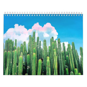 Calendário Cactus Summer