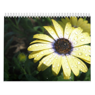 Calendário cada dia é uma flor nova