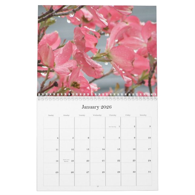 Calendário cada dia é uma flor nova (Jan 2026)
