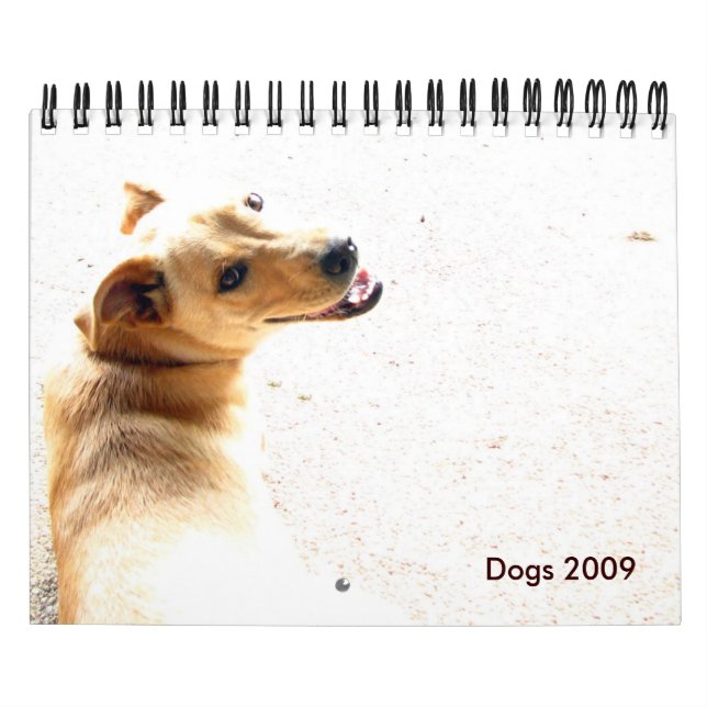 Calendário Cães 2009 (Capa)