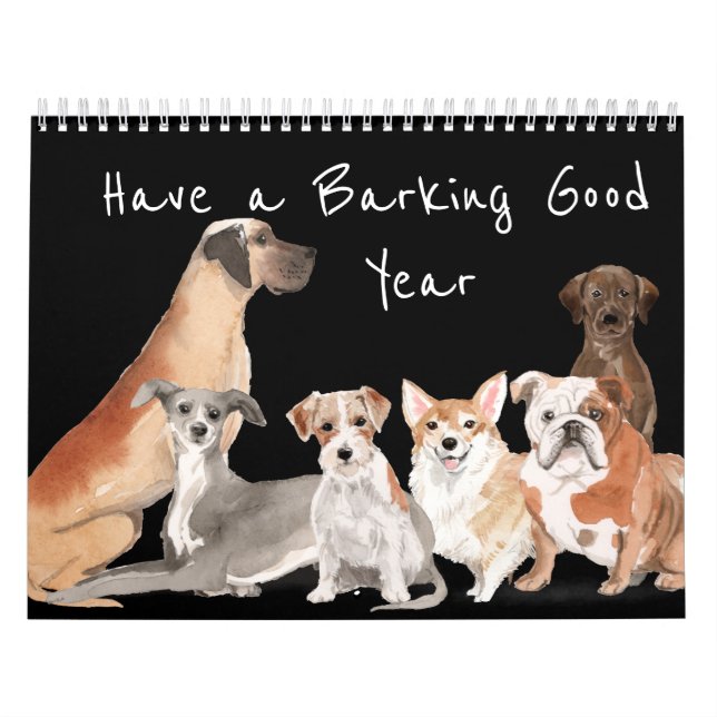 Calendário Cães Amam Cota de Brincadeira (Capa)