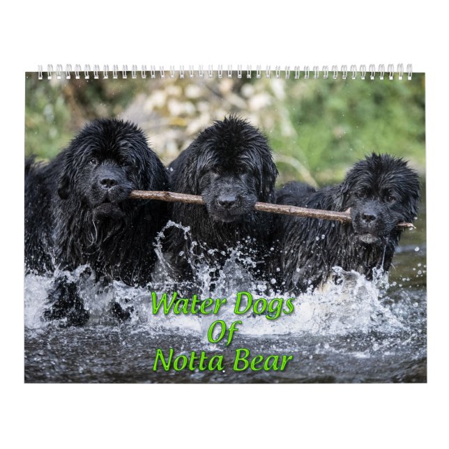 Calendário Cães de Água de Notta Bear (Capa)