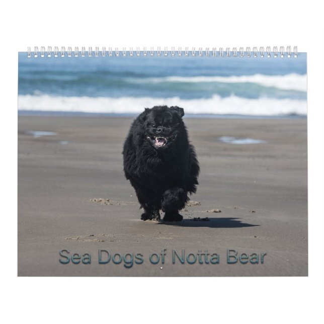 Calendário Cães do Mar de Notta Bear (Capa)