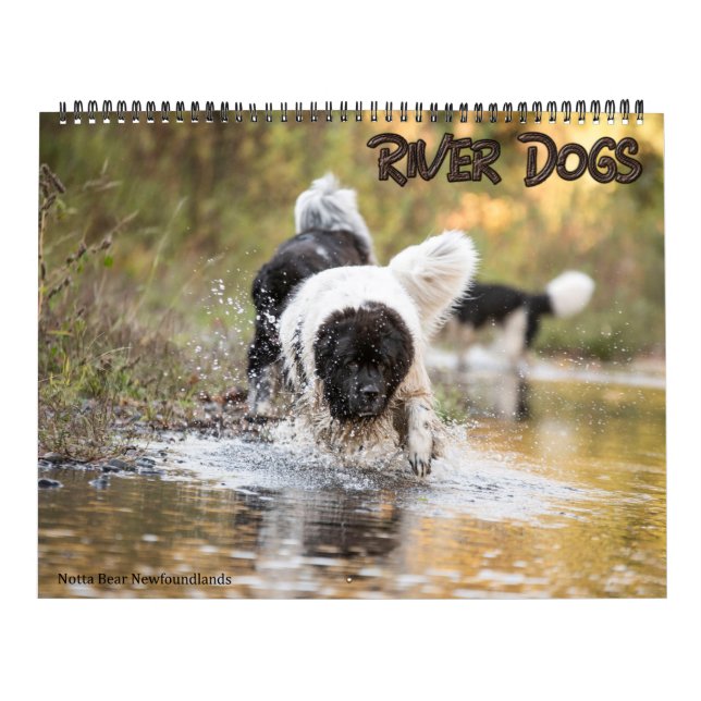Calendário Cães do Rio Notta Bear Terra Nova (Capa)