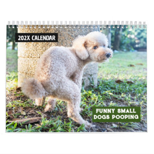 Calendário Cães Pequenos Engraçados Pooping 2025