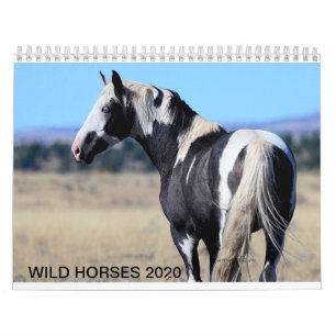Calendário Calandro de mustang 2020
