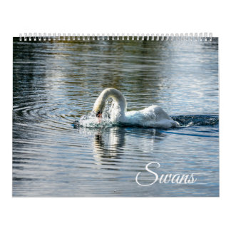 Calendário Calendar