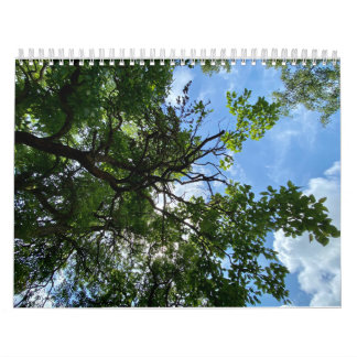 Calendário Calendar