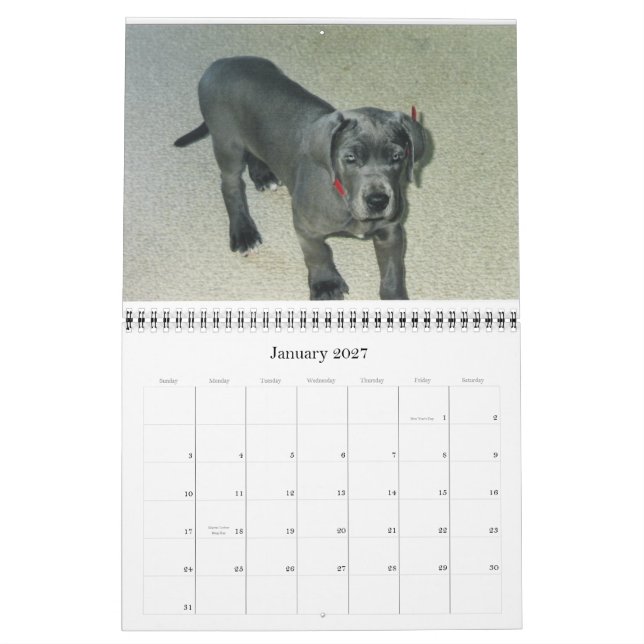 Calendário Calendar 2012 van SundayStyle Edition (Jan 2027)
