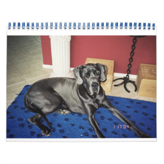 Calendário Calendar 2012 van SundayStyle Edition