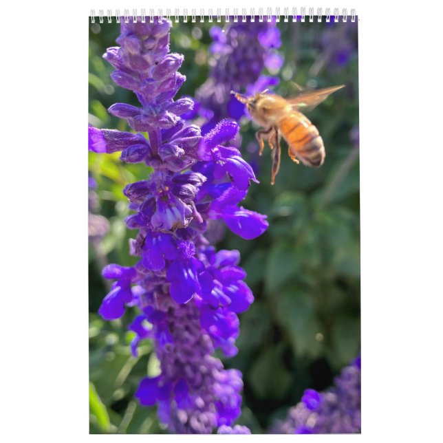 Calendário Calendar bees butterflys (Capa)