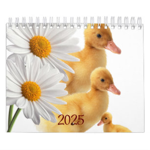 Calendário Calendar Ducks Daisy Floral 2025