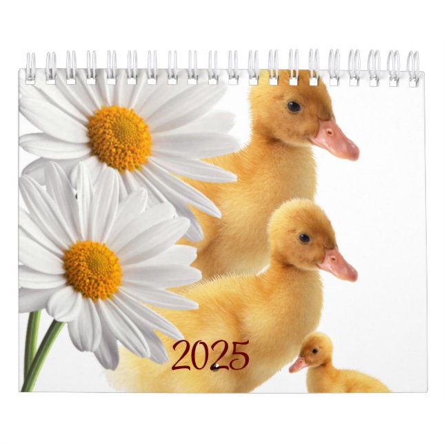 Calendário Calendar Ducks Daisy Floral 2025 (Capa)