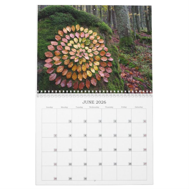 Calendário calendar forests 2026 art landart nature (Jun 2026)