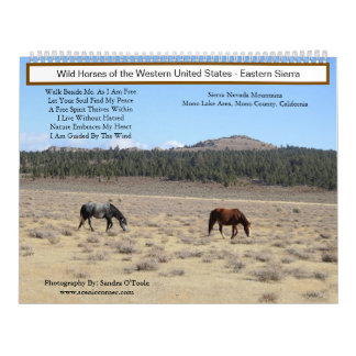 Calendário Calendar, Wild Horses, Eastern Sierra, California