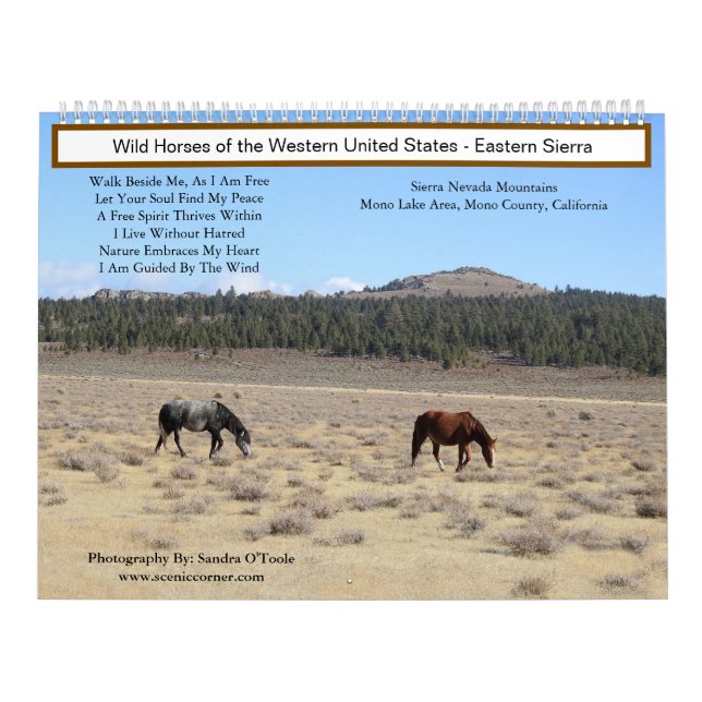 Calendário Calendar, Wild Horses, Eastern Sierra, California (Capa)