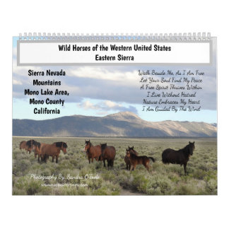 Calendário Calendar, Wild Horses, Eastern Sierra, California