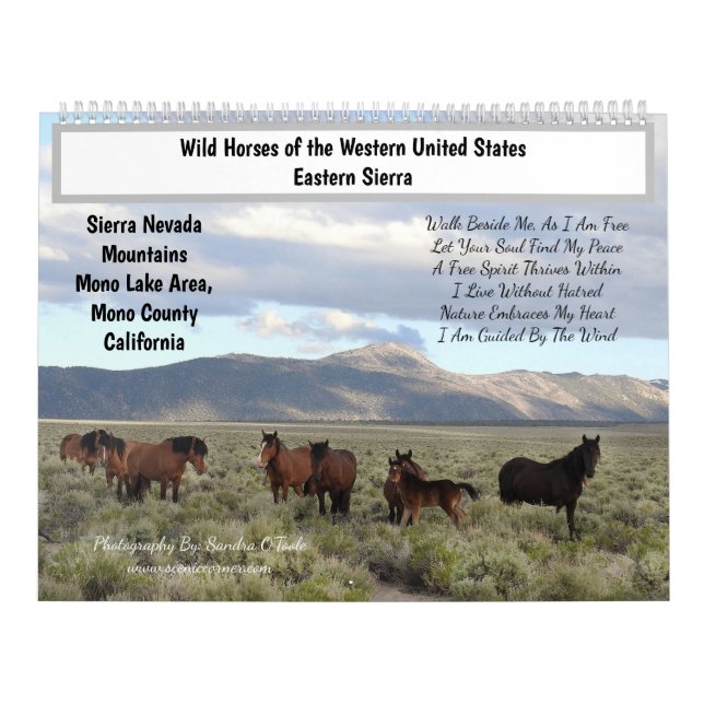 Calendário Calendar, Wild Horses, Eastern Sierra, California (Capa)