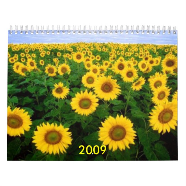 Calendário Calendário, 2009 (Capa)