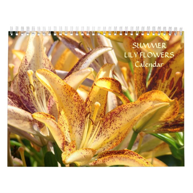 CALENDÁRIO CALENDÁRIO Calendário FLUXOS LILY Verão (Capa)