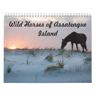 Calendário Calendário, Cavalos Selvagens da Ilha de Assateagu