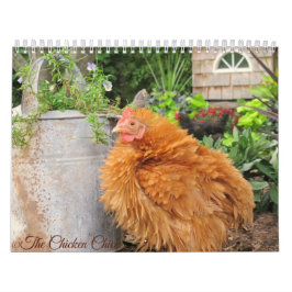 Calendário Calendário: O rebanho do pintinho da galinha