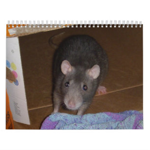 Calendário Calendário: Rat & Mouse Love