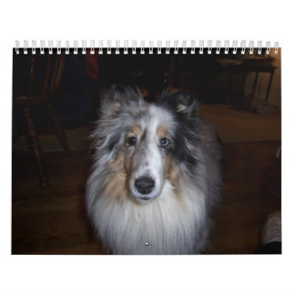 Calendário Calendário-Wheaton 2011 de Gallagher