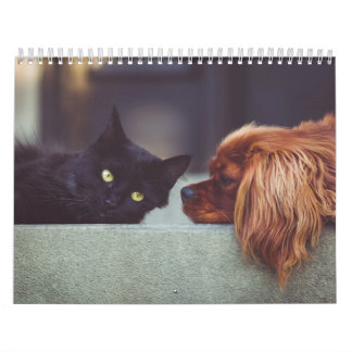 Calendário Calendrier chien et chat