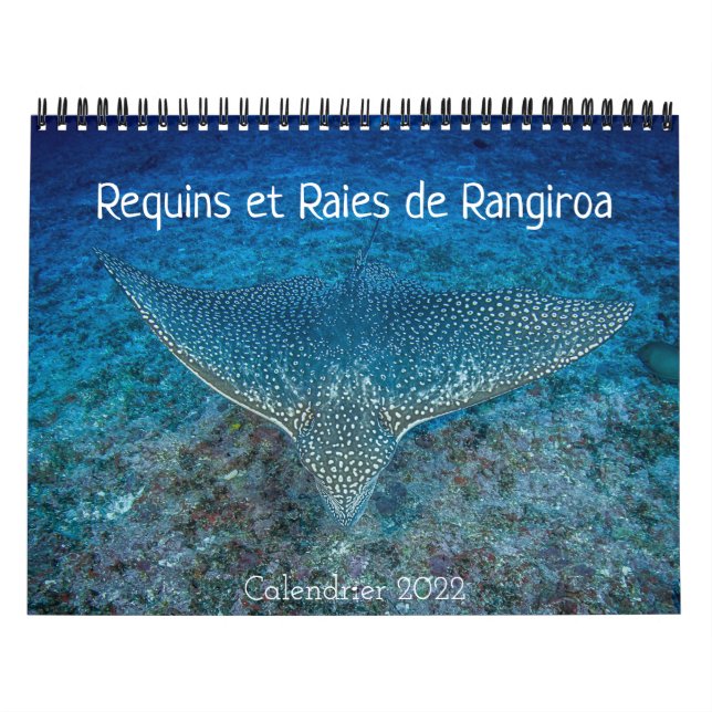 Calendário Calendrier des Requins et des Raies カレンダー (Capa)