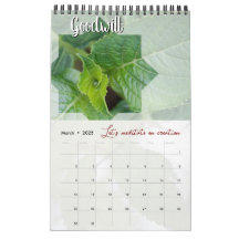 Calendrier Dieu méditation jardin : étoile & mot