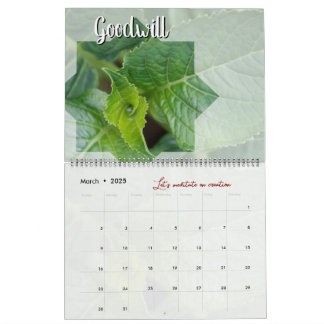 Calendário Calendrier Dieu méditation jardin : étoile & mot