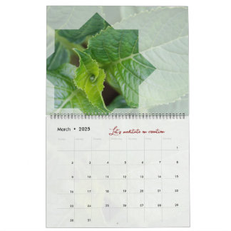 Calendário Calendrier Dieu méditation nature étoile élégant
