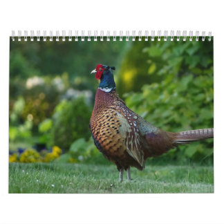 Calendário Calendrier Faisan, Calendar Pheasant