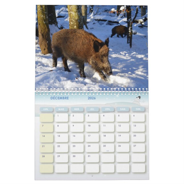 Calendário Calendrier Sanglier, Calendar Boars (Dez 2026)