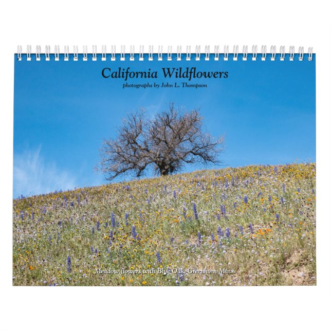 Calendário California Wildflower 2020 (Capa)