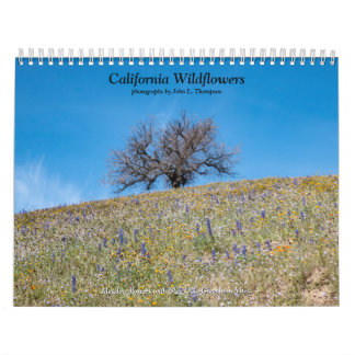 Calendário California Wildflower 2020