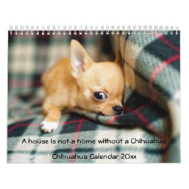 Calendário Câmara De Fotos Chihuahua Calendar 2023 Não É Uma 