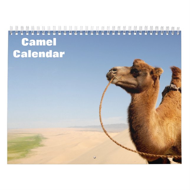 Calendário Camelo 2027 (Capa)