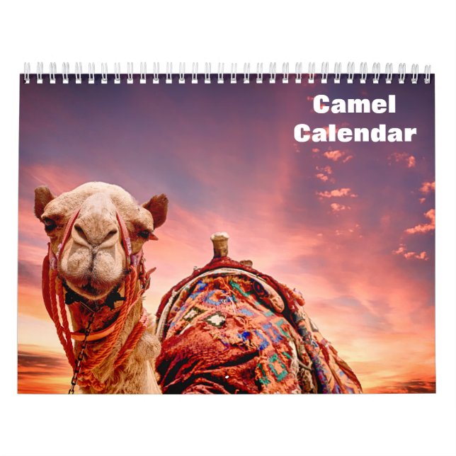 Calendário Camelo 2027 (Capa)