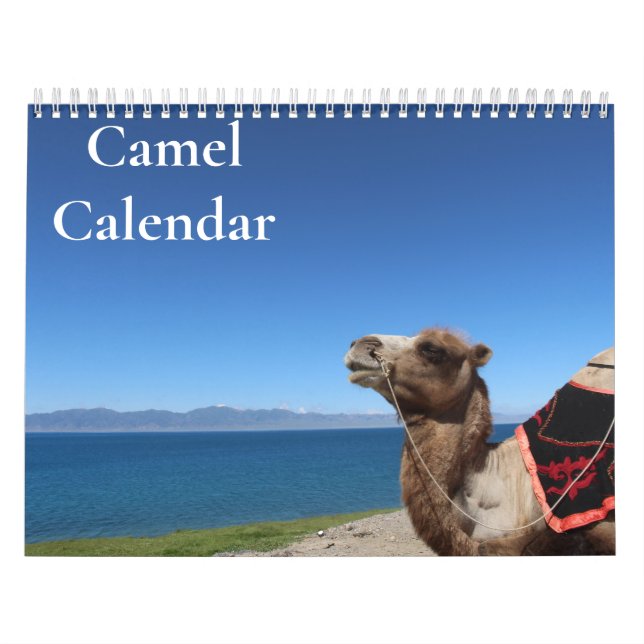 Calendário Camelo 2027 (Capa)