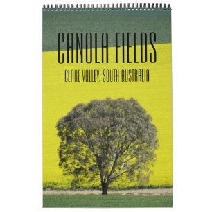 Calendário campos de canola