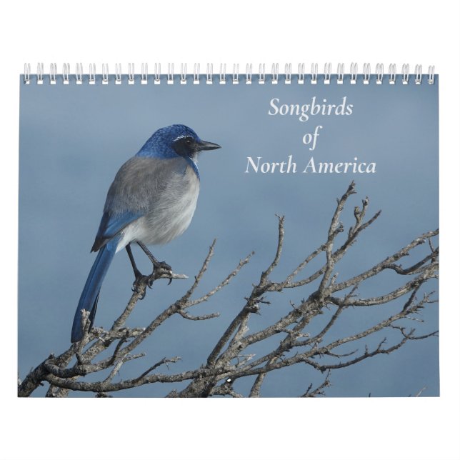Calendário Canaviais da América do Norte (Capa)
